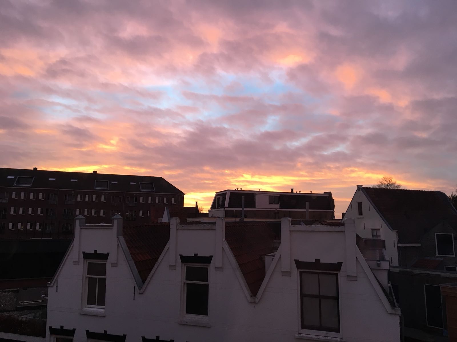 lucht gouda