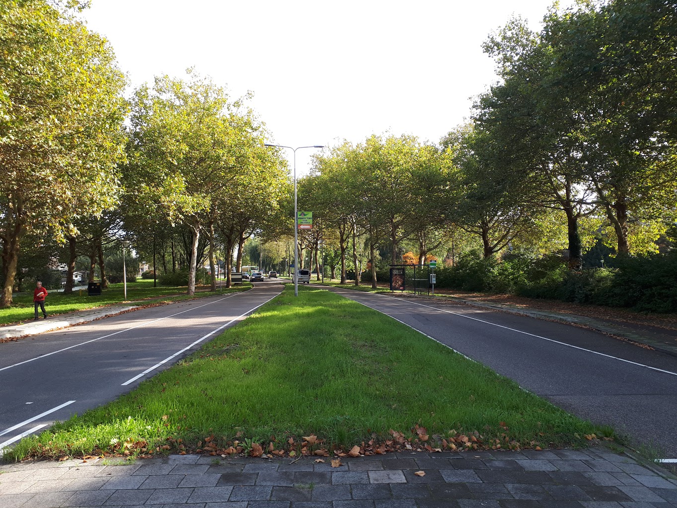 burgemeester van Reenensingel