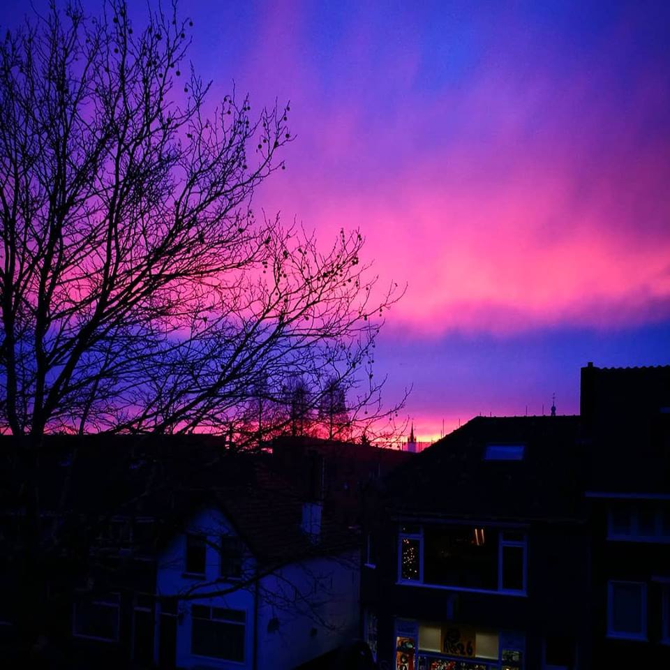 Denk jij vrijdag meer paars op straat in Gouda te zien? Dit is de reden!