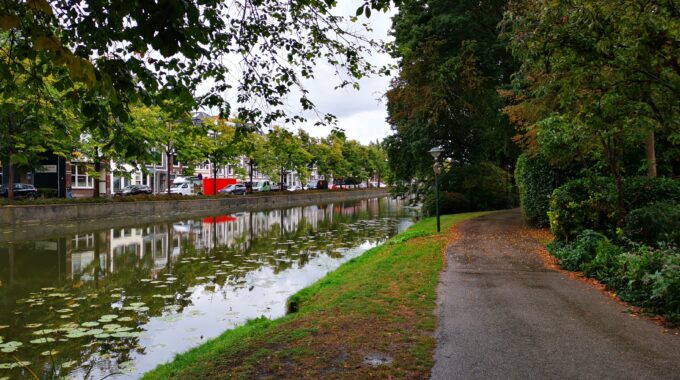 singels gouda
