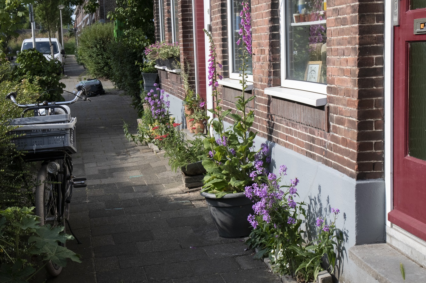 groen in Gouda