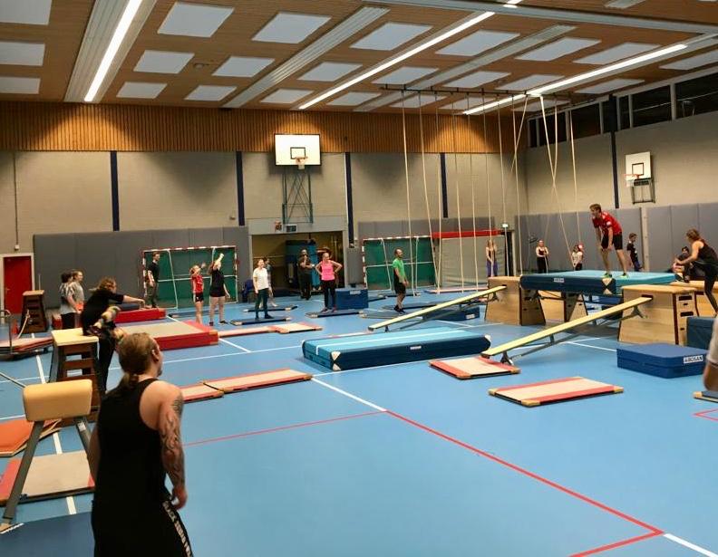 apenkooien