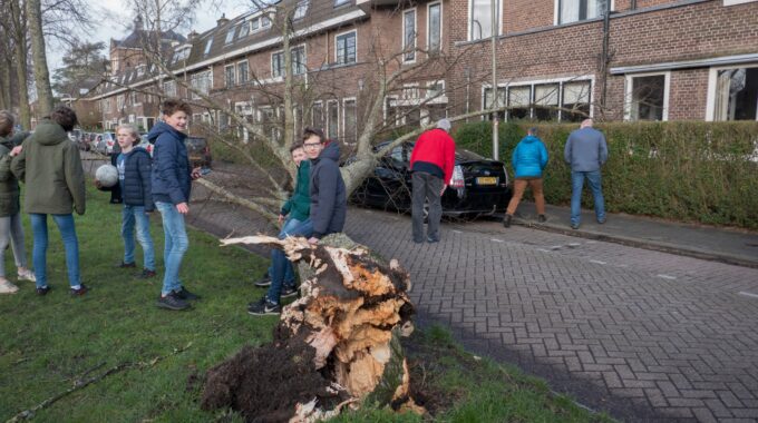 Stormschade Burgemeester Martenssingel