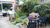 Een groene tuin geeft verkoeling voor een fijne zomer in Gouda