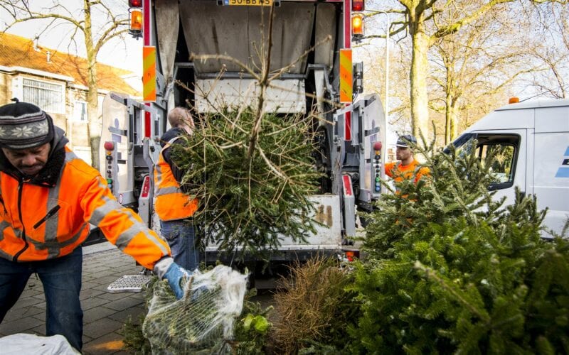 kerstboom aan de weg