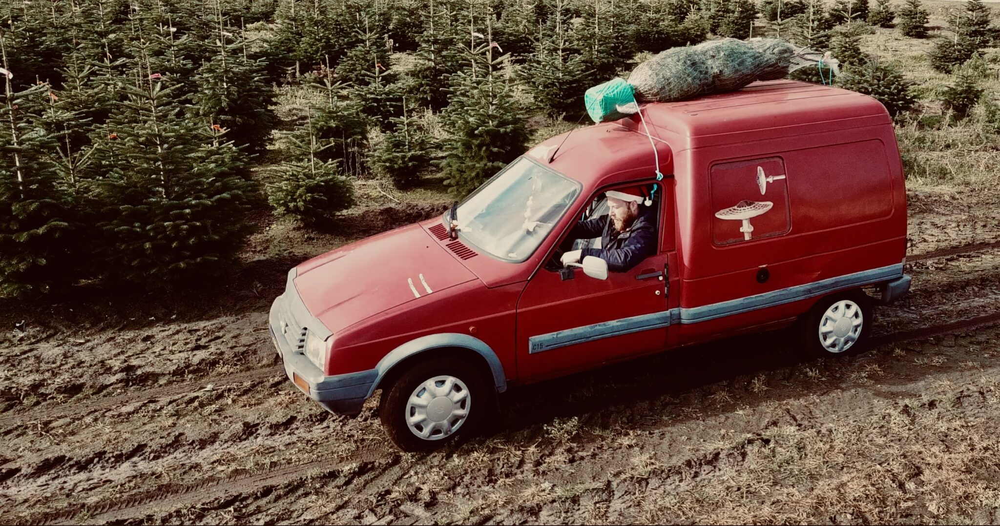 kerstboomparadijs