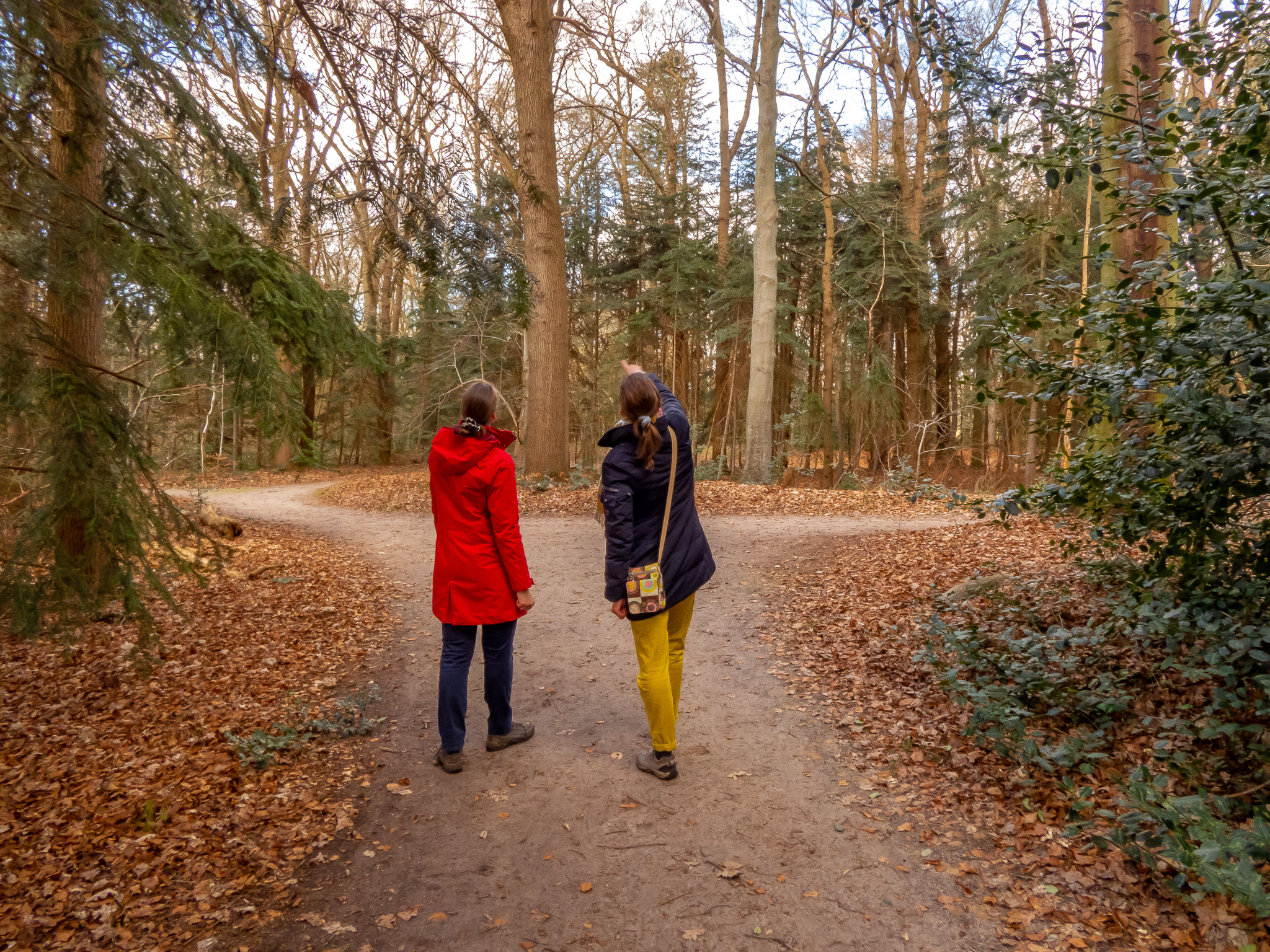 wandelcoach groningen