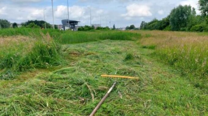 gras berm hoog