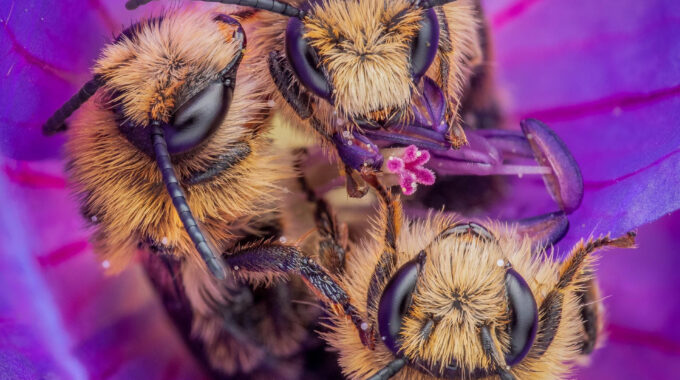 national geographic