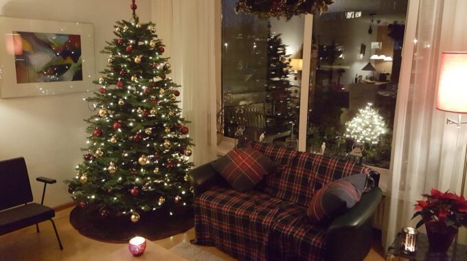 kerstbomen groningse woonkamers
