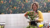 groningen karin bloembinderij geschikt