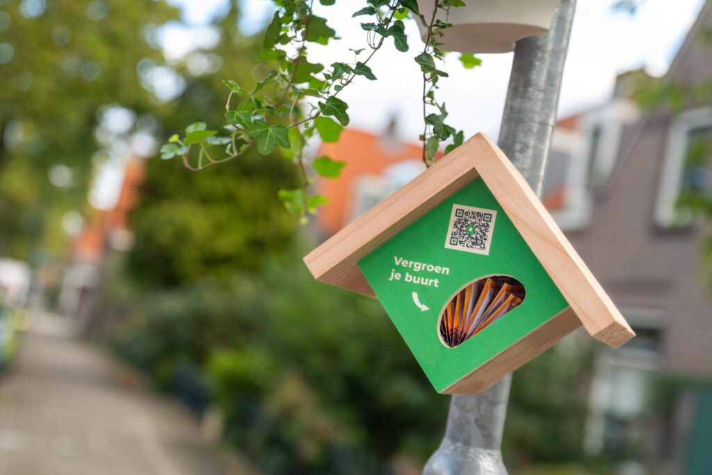 Tip! Groningen krijgt een 'flower station' waar je gratis bloemzaadjes