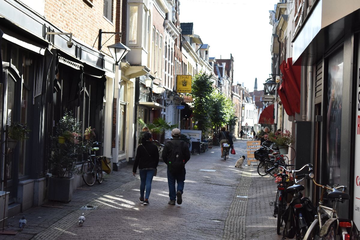 Winkelstraat in Haarlem