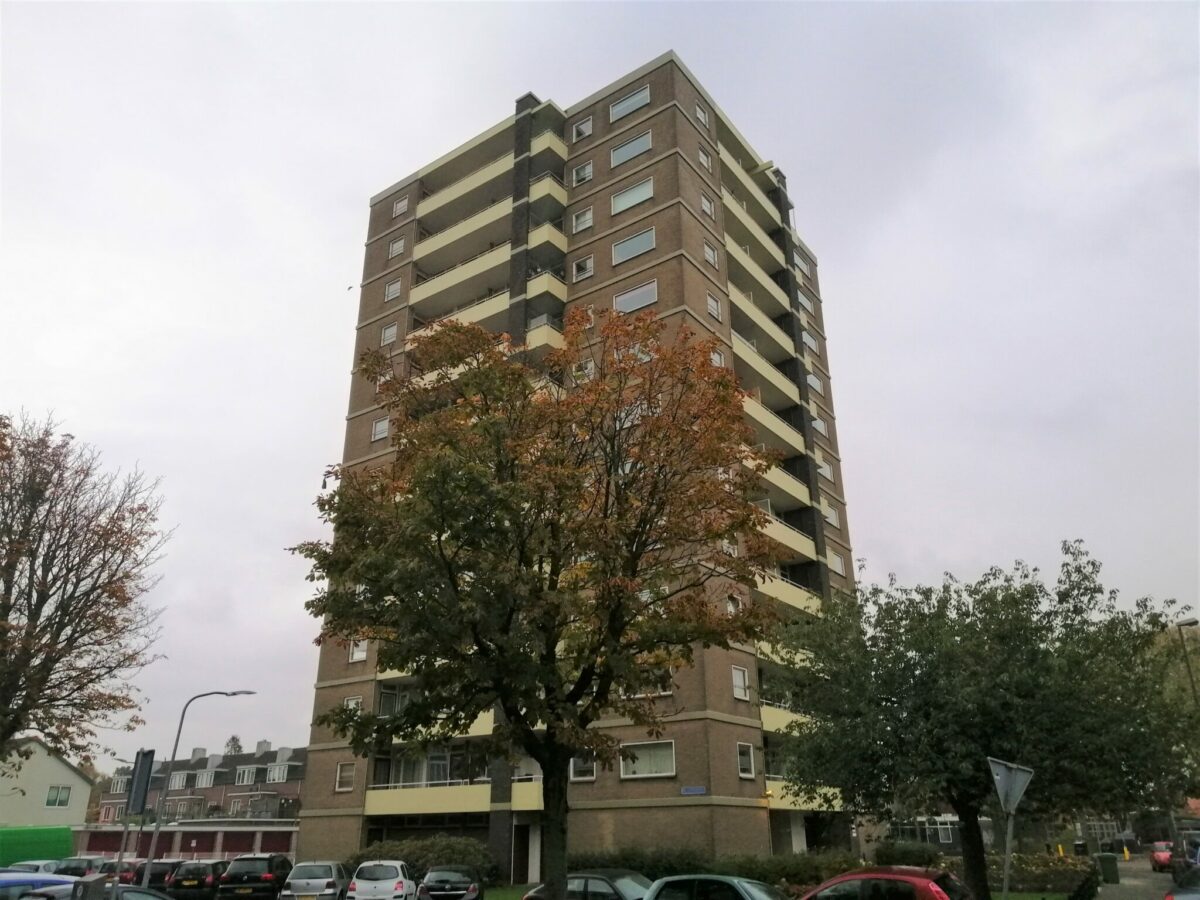 Binnenkijken bij Natascha met uitzicht over heel Haarlem 'Met oud en