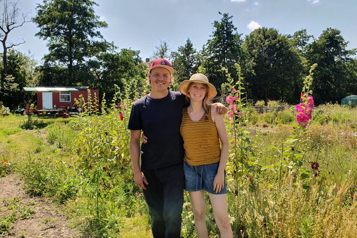 Bloemen plukken in Haarlem in de Plukweide