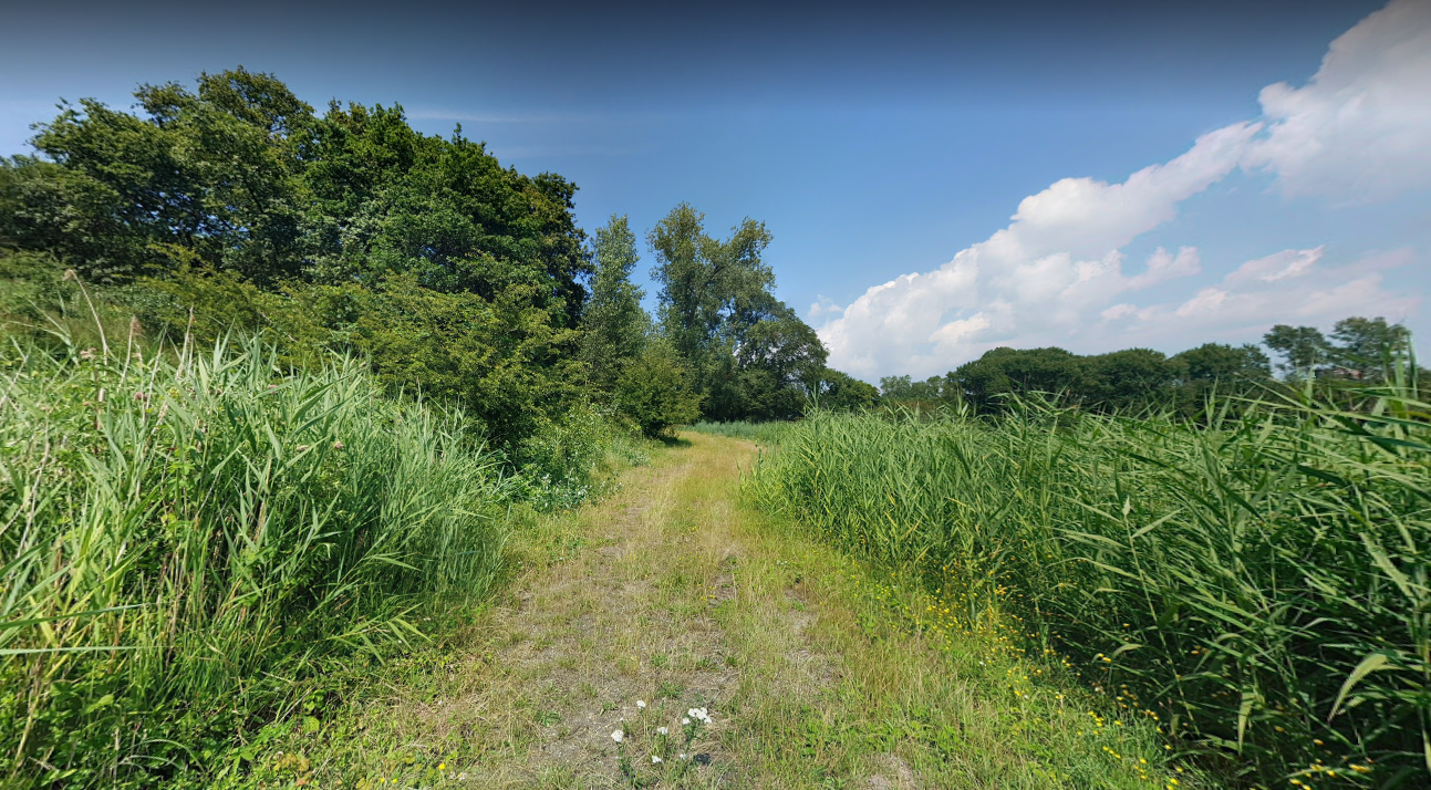 wandelroutes haarlem
