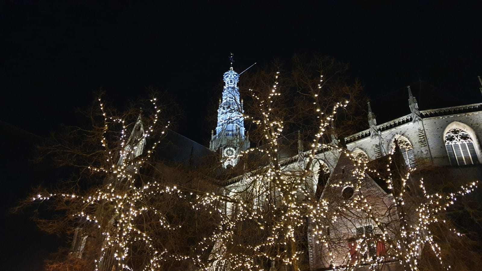 Uit eten met kerst, een lichtjeswandeling en meer nieuwtjes van afgelopen week