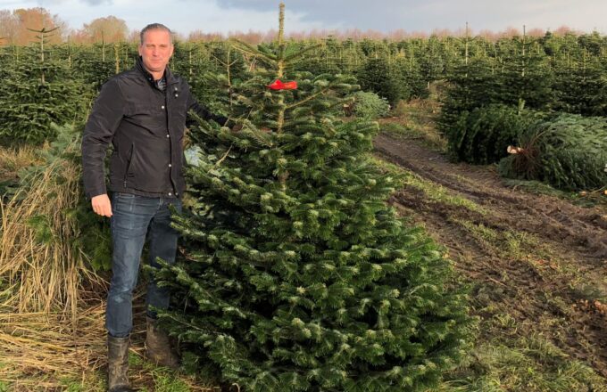 Kerstbomen Haarlem kerstboom bestellen