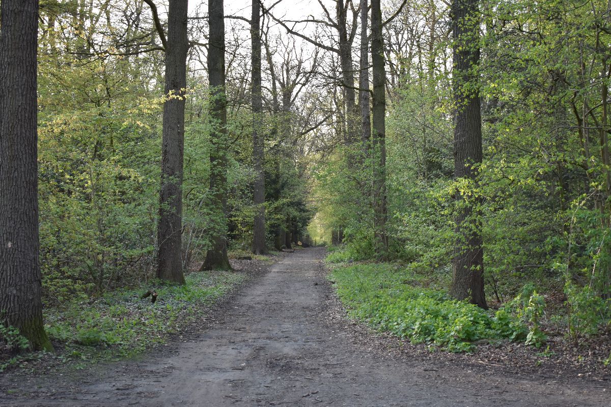 stadspark-warande