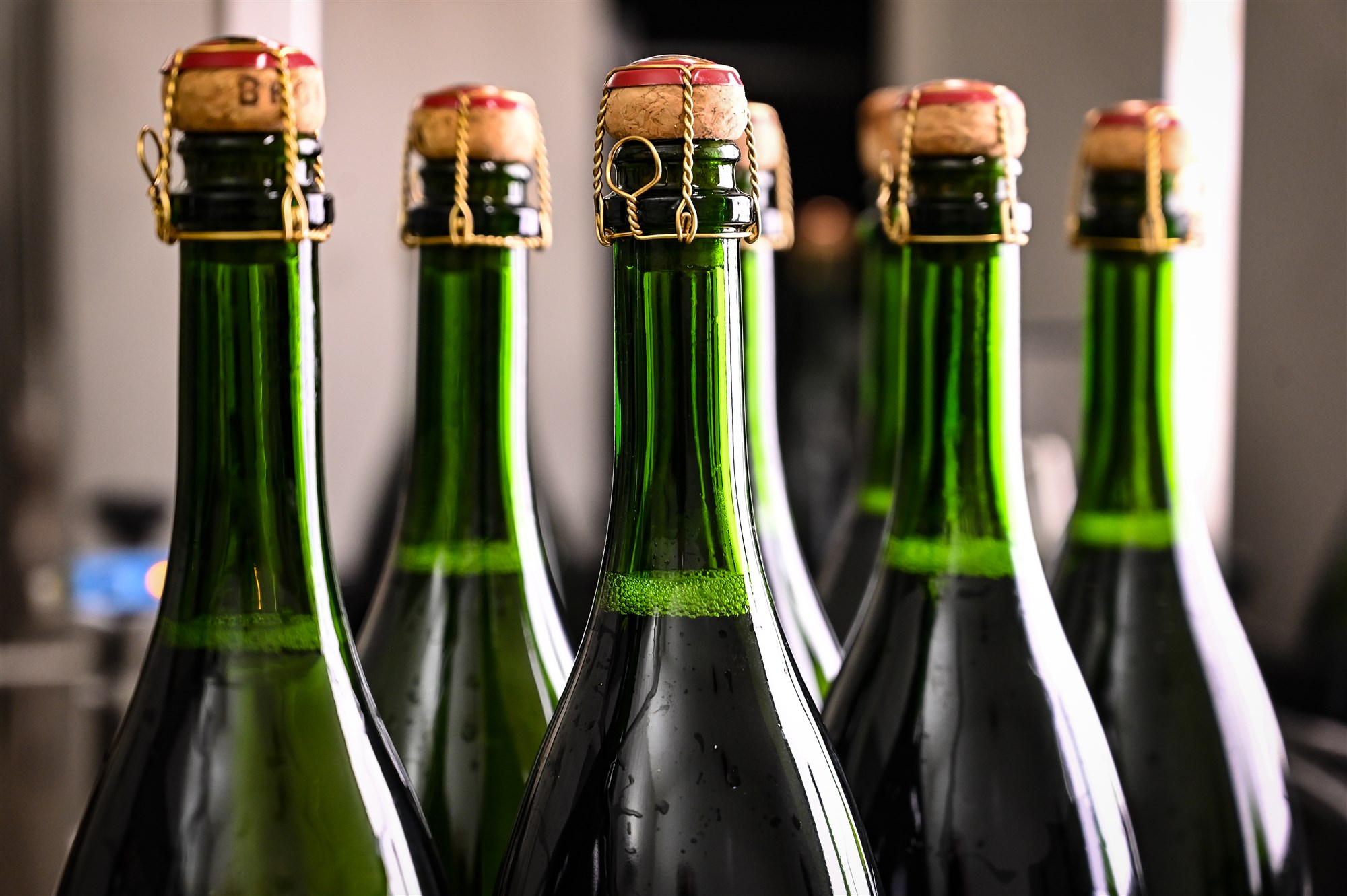 ANP-426015427 champagne