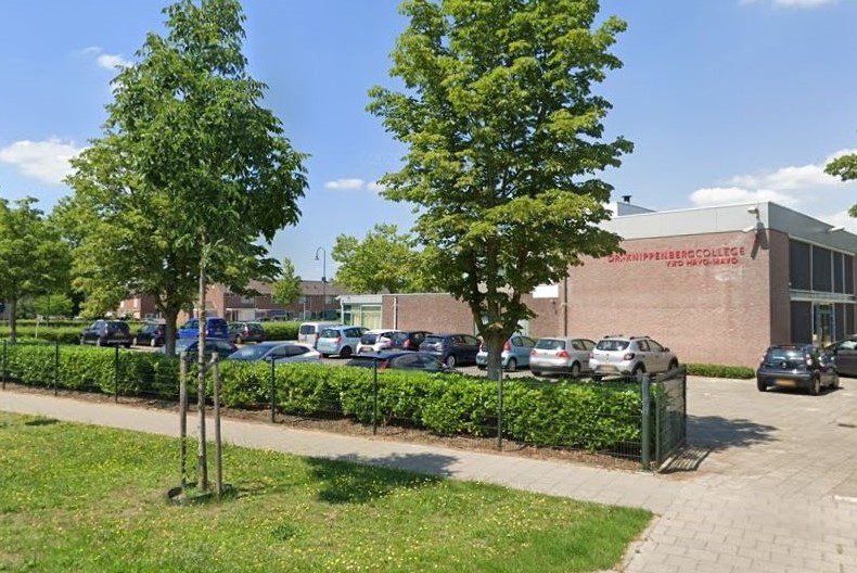 Ring rond boom