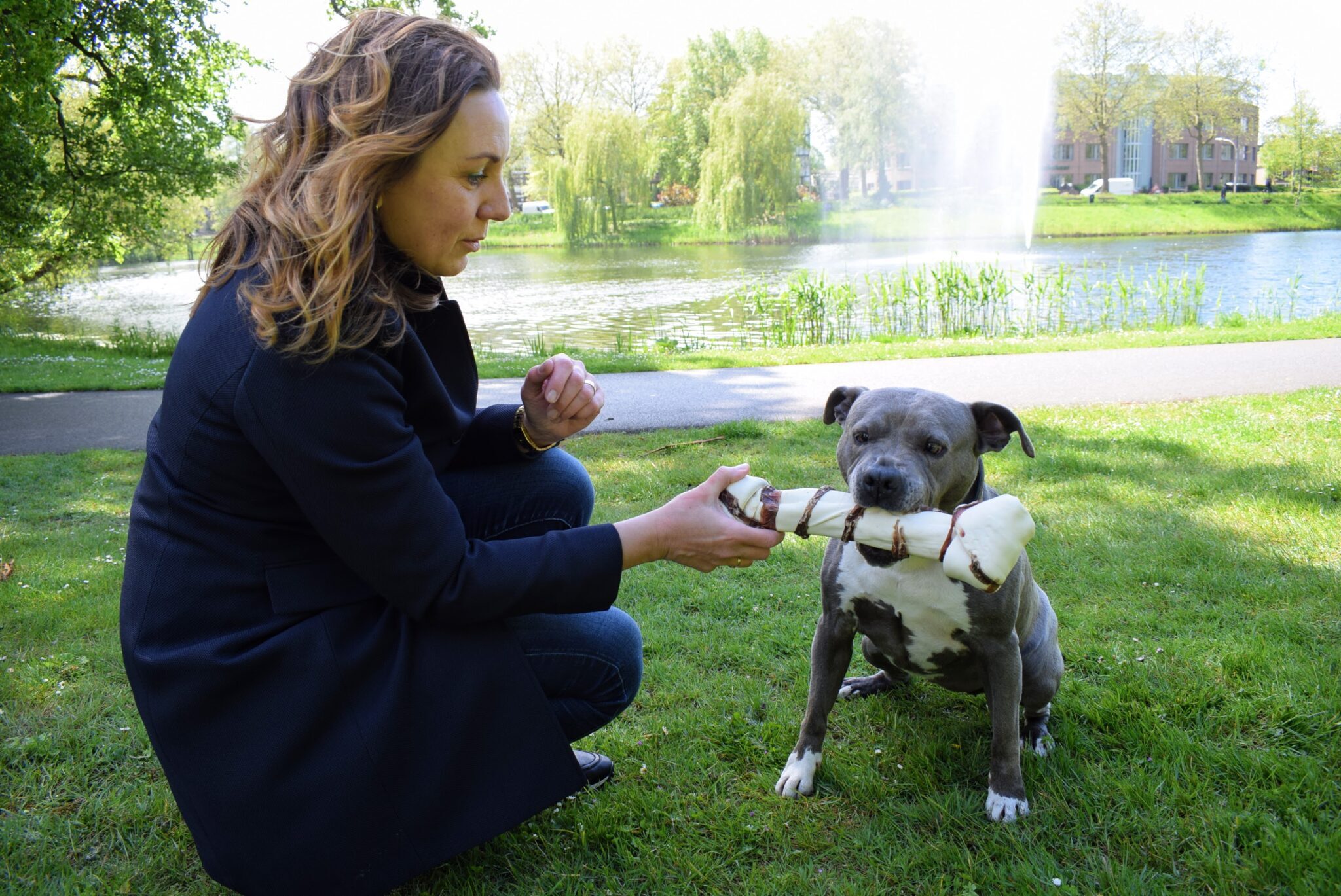 Aware-Pet-Products-kauwbot-hond-scaled