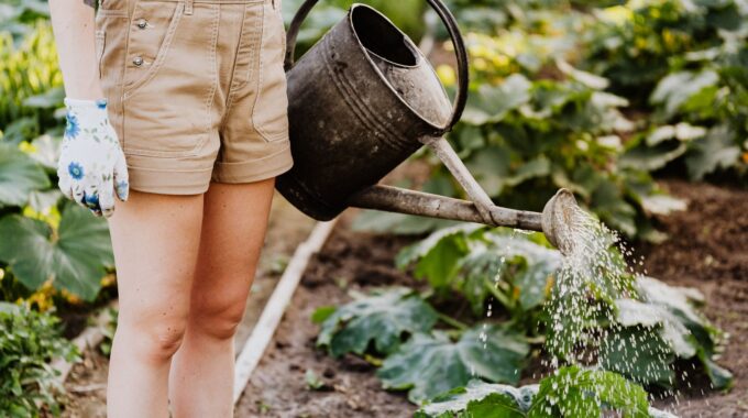Tuincentra Helmond