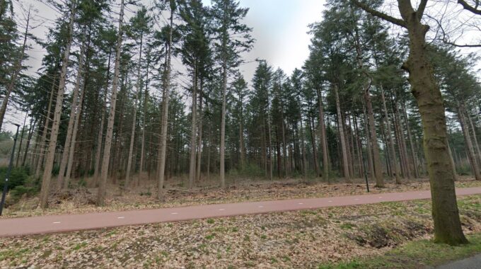 Stiphoutse Bossen Google Streetview