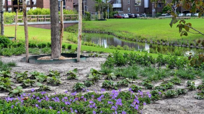 Weersverwachting maart Burgemeester Geukerspark