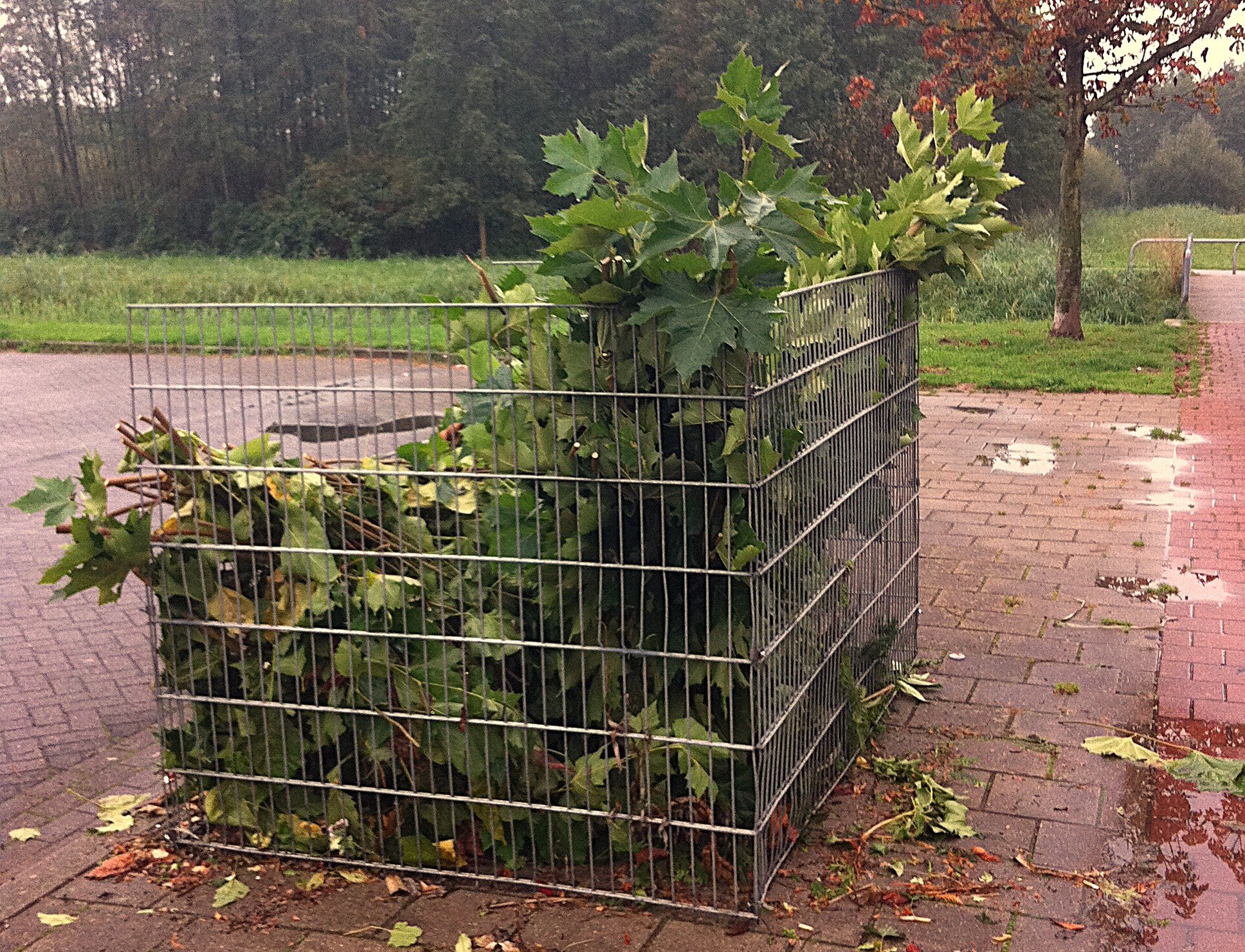 Opgeruimd staat netjes: hier in Helmond staan (binnenkort) bladkorven