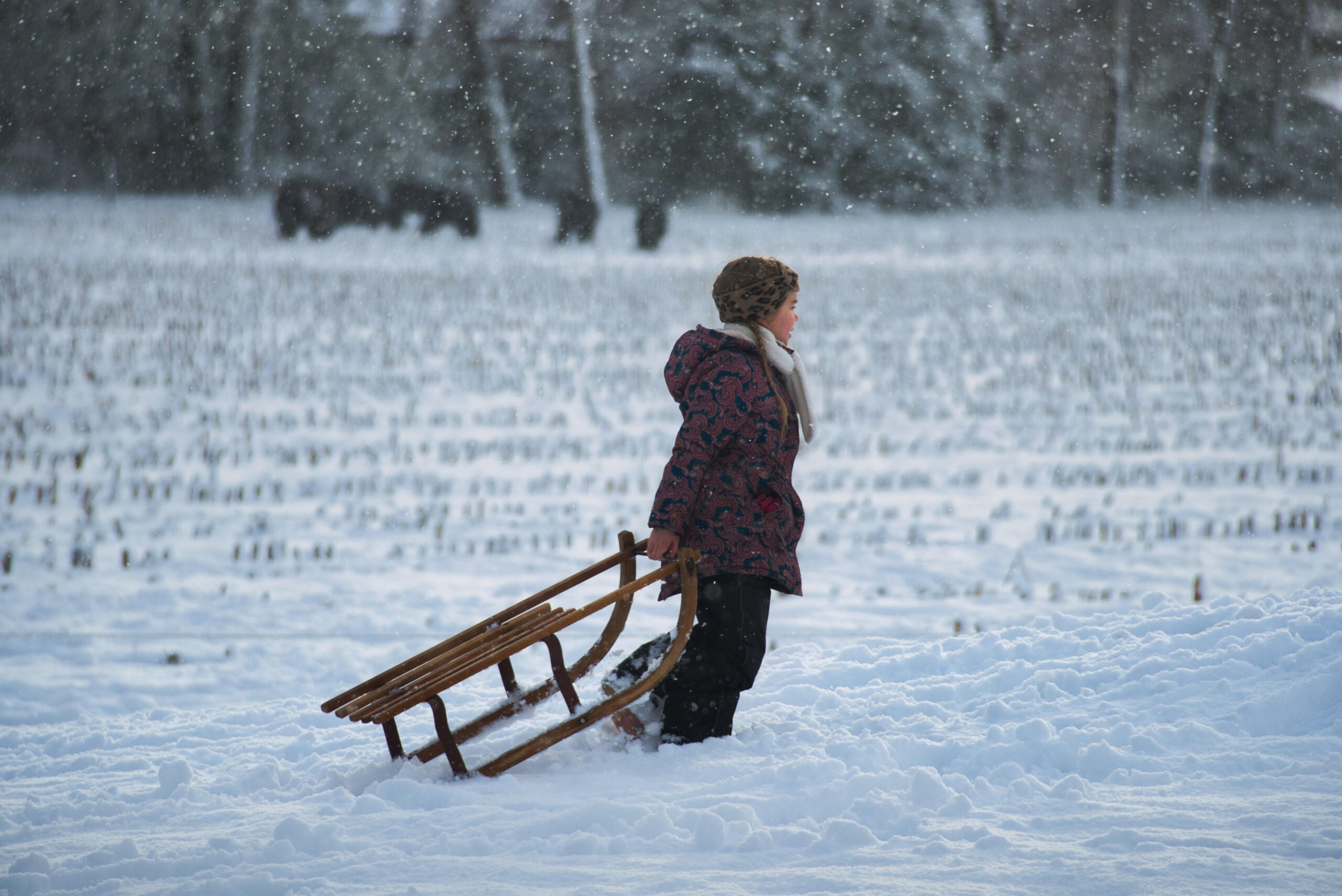 Jullie mooiste foto’s! Helmond onder een dik pak sneeuw