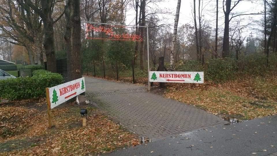 Kerstboom kopen in Hengelo hier kan het indebuurt Hengelo