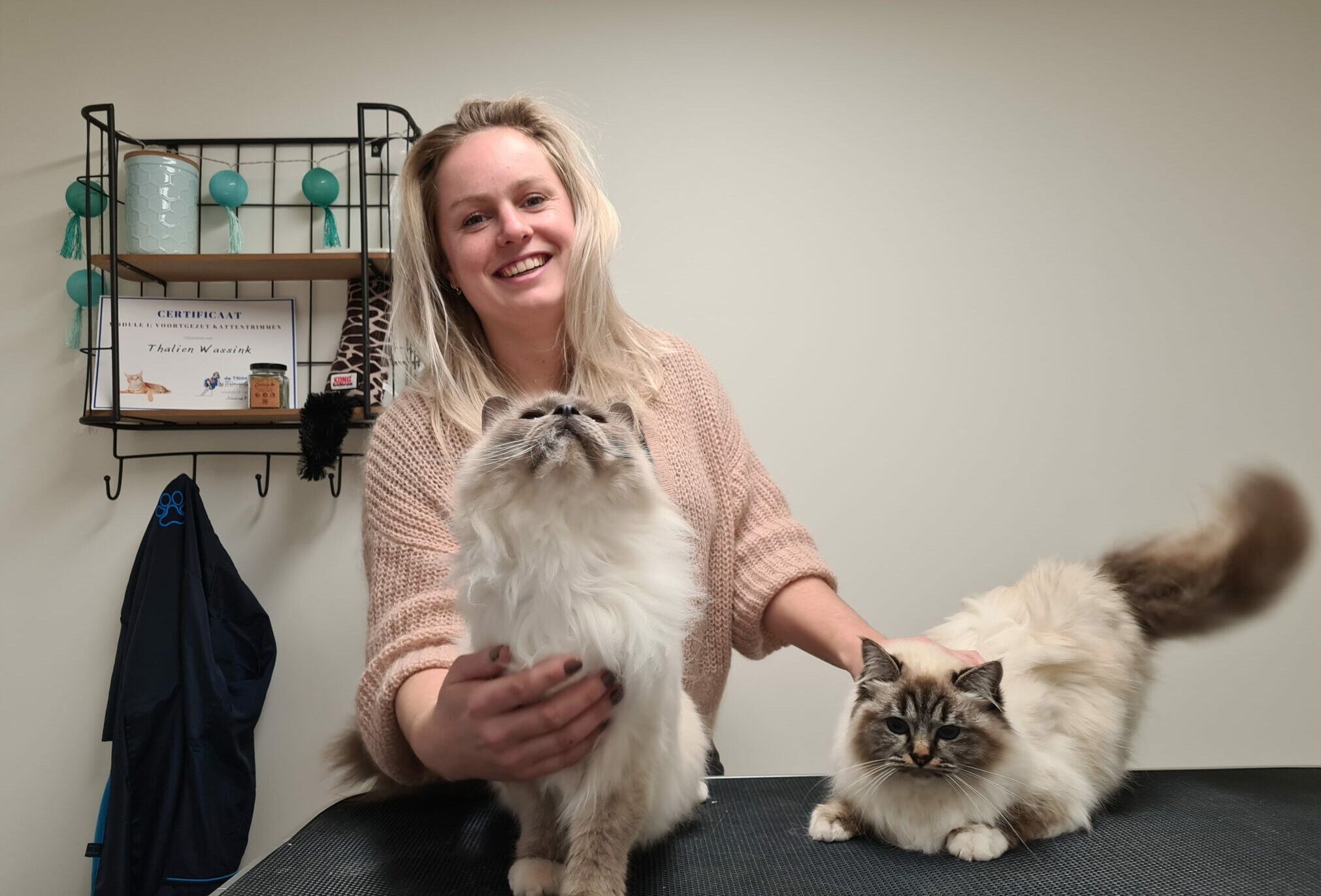 kattentrimsalon Thalien