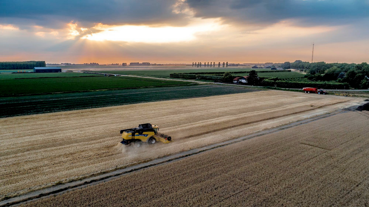 Ga naar “Mooi! De Hoeksche Waard van bovenaf in 8 dronefoto's” - indebuurt