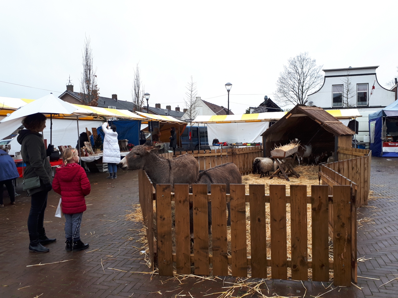 Foto's! Kerstmarkt in OudBeijerland en dit is wat we hebben gespot