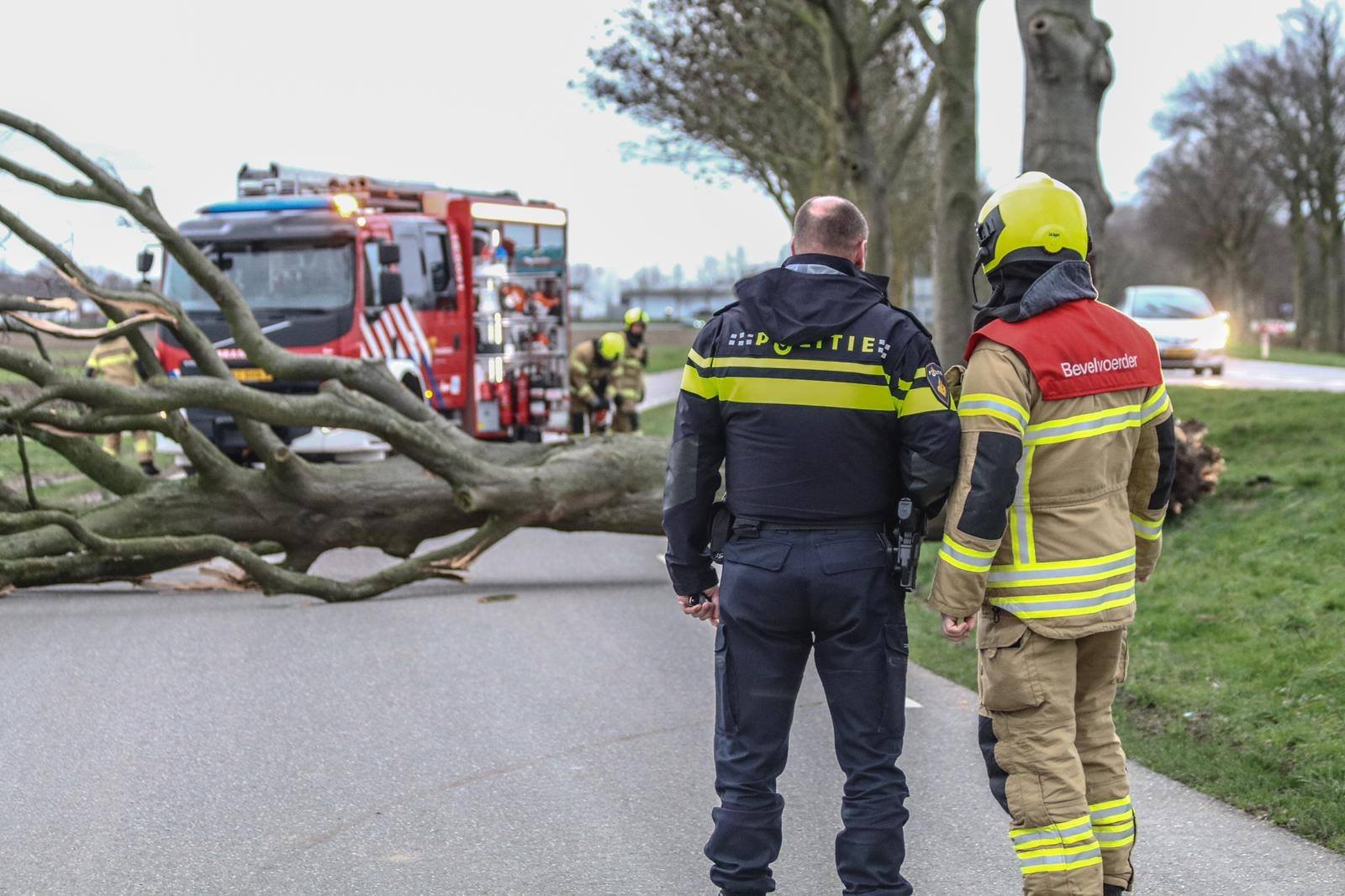 Storm Ciara in de Hoeksche Waard: dit is de schade in cijfers en foto's [+VIDEO] - indebuurt