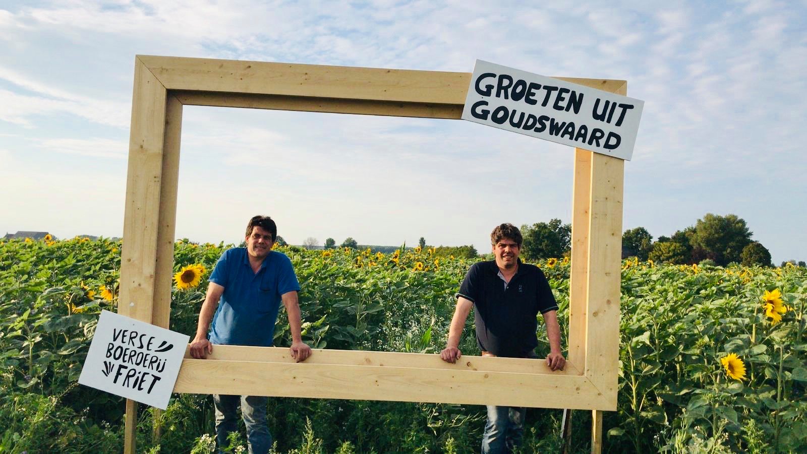 Vergeet Frankrijk: in Goudswaard maak je pas echt een originele foto tussen de zonnebloemen - indebu
