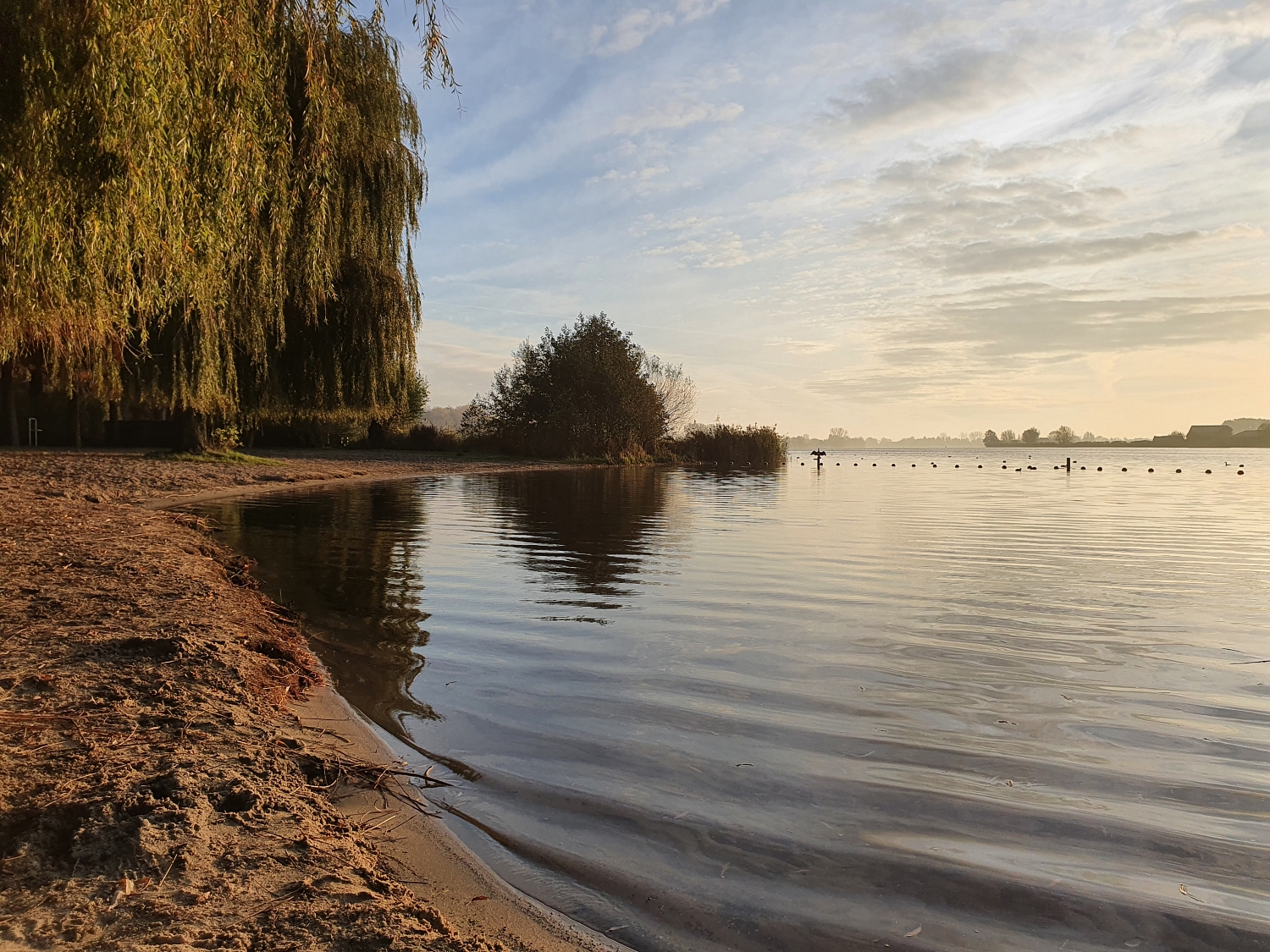 5x zo mooi zag de Hoeksche Waard er afgelopen week uit op Instagram - indebuurt