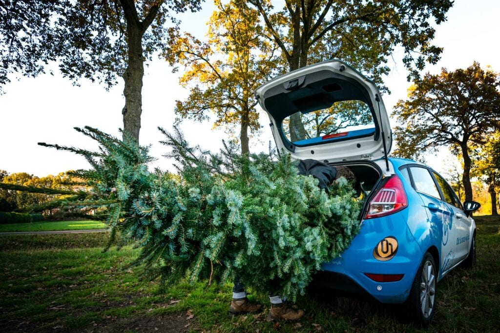 Kerstboom inleveren of op laten halen in de Hoeksche Waard dit moet je weten (2020/2021)