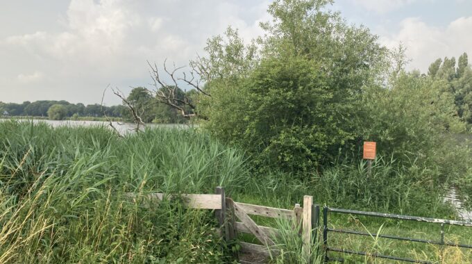 wandeling polderdijk westmaas sint anthoniepolder