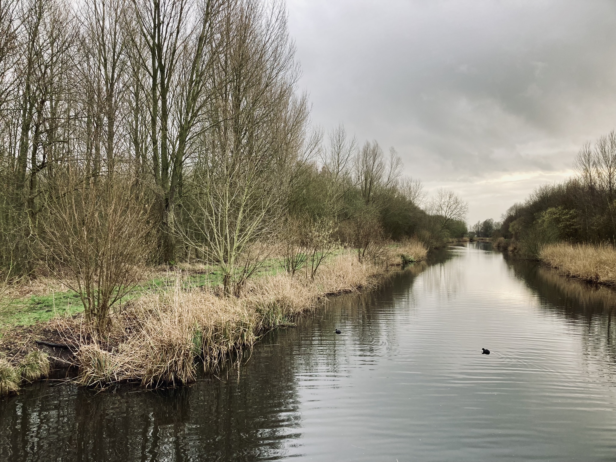 5 x toffe wandelplekken in de Hoeksche Waard (deel 2) - indebuurt