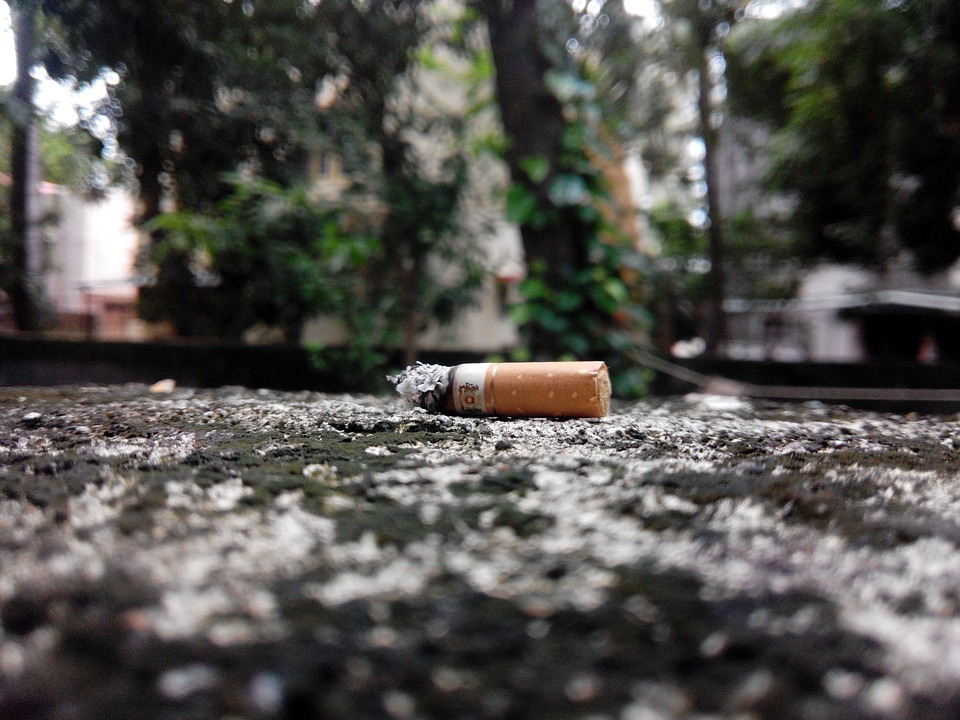 Je peuk op straat gooien in Leiden? Zo hoog is de boete indebuurt Leiden