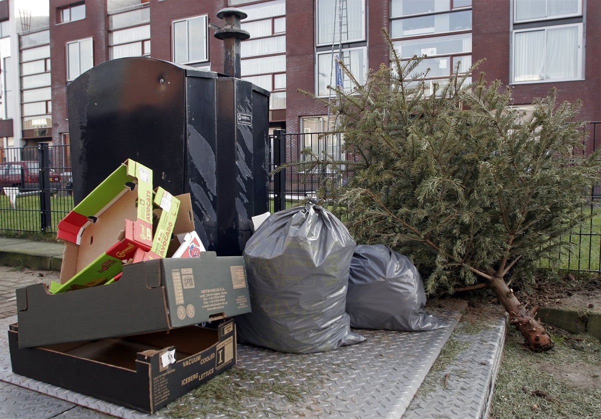 Kerstboom inleveren en ophalen in Leiden dit moet je weten (2020) indebuurt Leiden