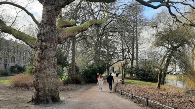 Lentewandeling van der werfpark