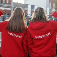Hoornaars in Leiden? Dit wil je erover weten