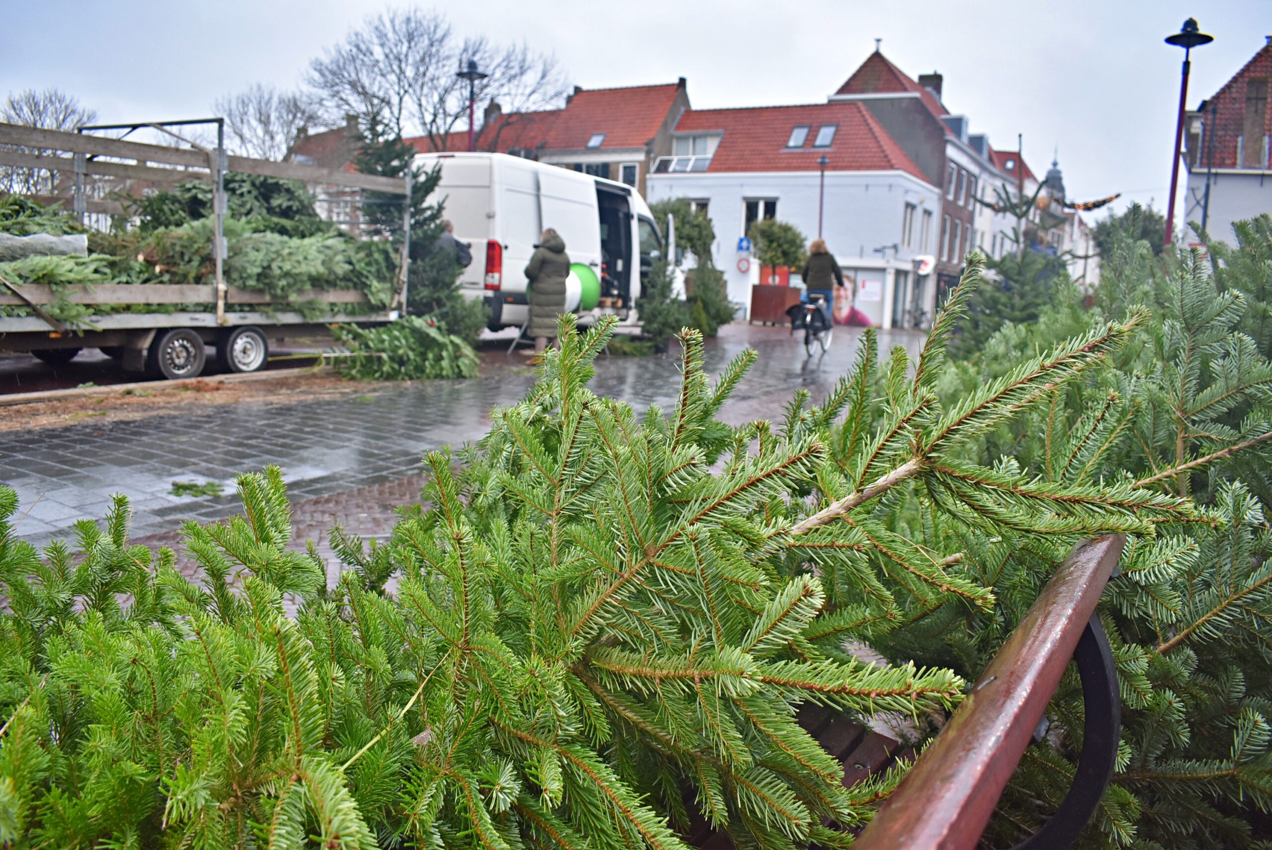 Oh denneboom... Hier haal je jouw kerstboom in Middelburg indebuurt