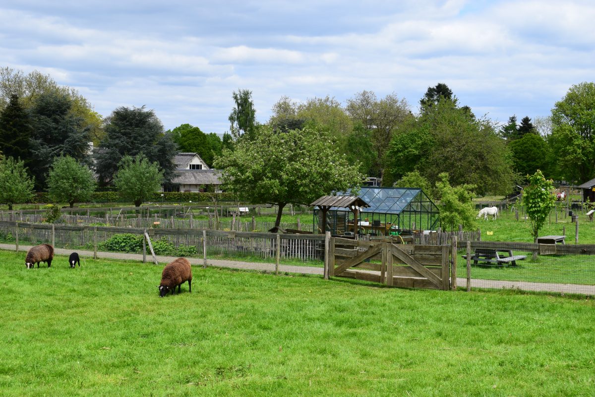 Kinderboerderij Goffertpark