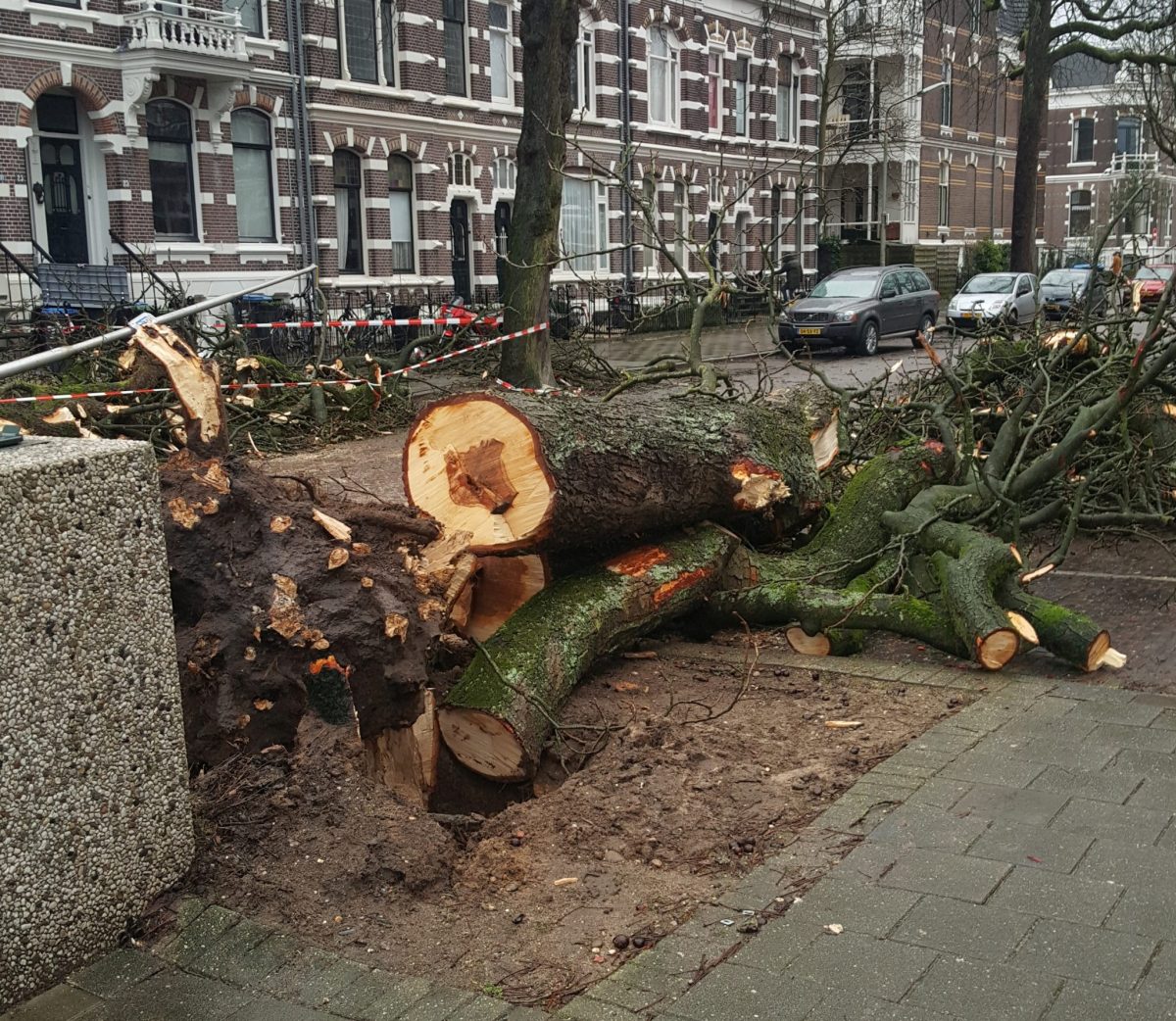 Van Slichtenhorststraat