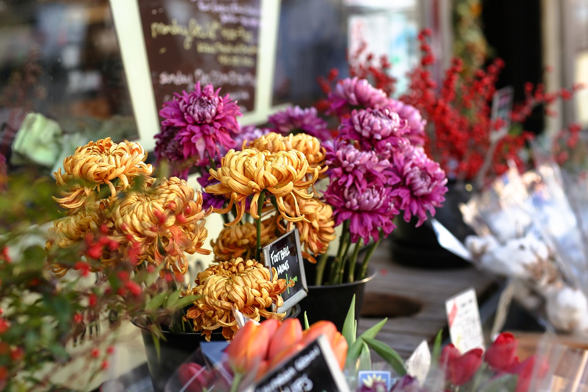 bloemenwinkel nijmegen
