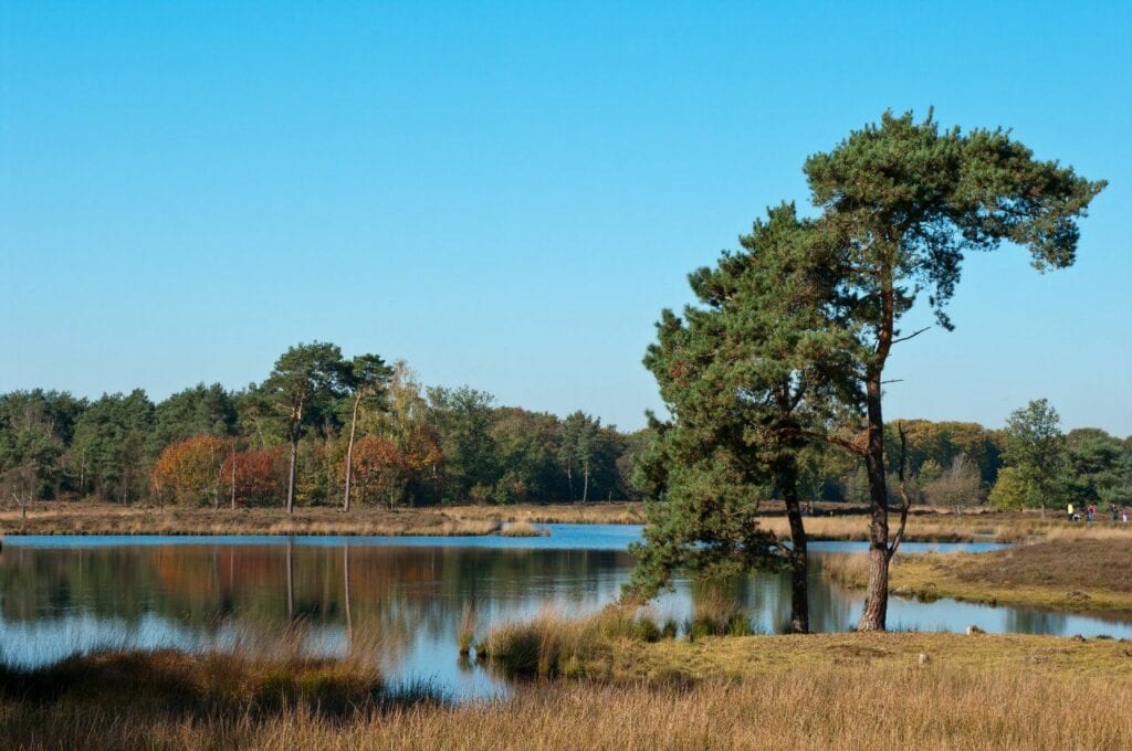 wandelen bij Nijmegen